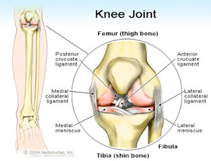 Knee Conditions